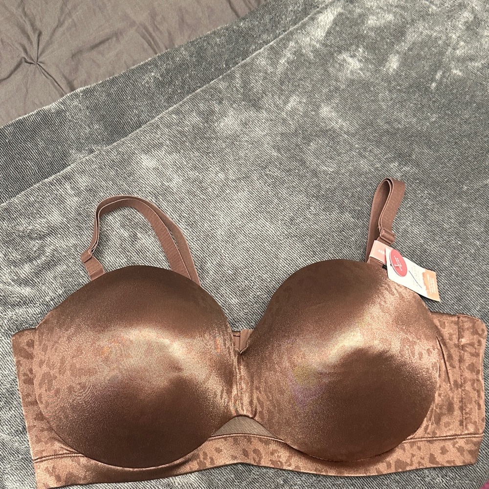 Cacique Shimmering Brown Bra
